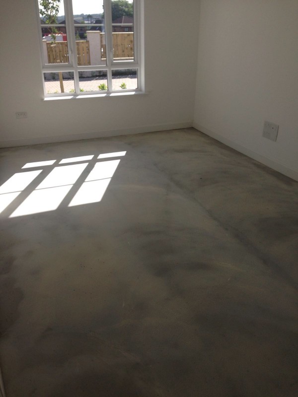 Screeding Gallery Main Photo